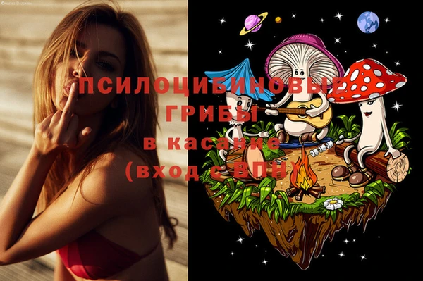 гидропоника Володарск