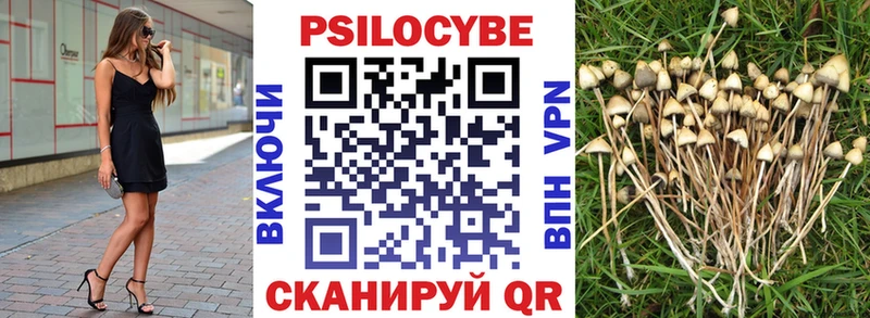 как найти закладки OMG онион Псилоцибиновые грибы ЛСД Яранск